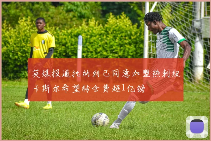 英媒报道托纳利已同意加盟热刺纽卡斯尔希望转会费超1亿镑