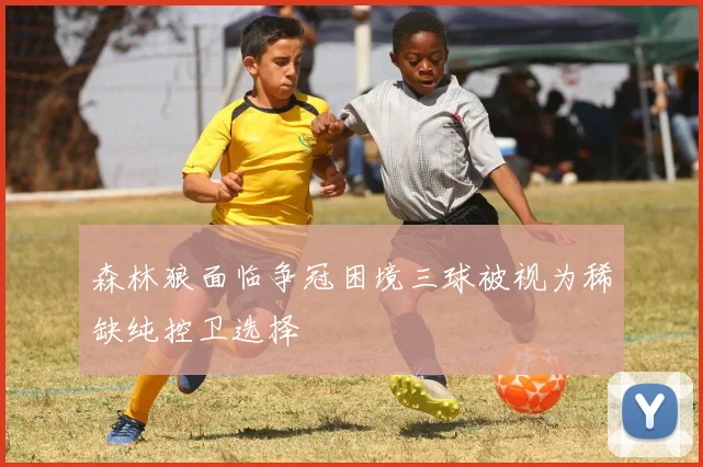 森林狼面临争冠困境三球被视为稀缺纯控卫选择